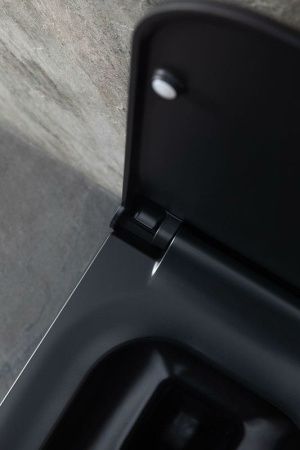 Чаша унитаза подвесная Allen Brau Infinity 4.21011.31 цвет черный без сиденья безободковая каскадный смыв