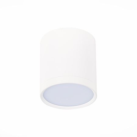 Светильник потолочный ST Luce Rene (Рене) ST113.542.05