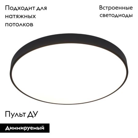 Светильник накладной Arte Lamp Arena (Арена) A2673PL-1BK