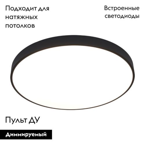 Светильник накладной Arte Lamp Arena (Арена) A2673PL-1BK - фото 2