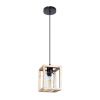Светильник подвесной Arte Lamp Dublin (Дублин) A7025SP-1BK