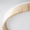 Светильник потолочный музыкальный Citilux Enzo (Ензо) CL753452G