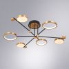 Люстра на штанге Arte Lamp Holly (Холлы) A1364PL-6PB