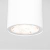 Уличный потолочный светильник Elektrostandard Light Led (Лигхт Лед) 4690389176555