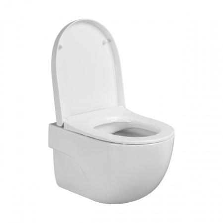 Комплект унитаз с инталляцией и клавишей смыва Roca Meridian 7893104990