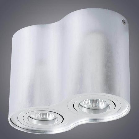 Светильник потолочный Arte Lamp Falcon (Фалцон) A5644PL-2SI