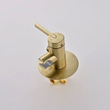 Гигиенический душ со смесителем Rose R235G золото