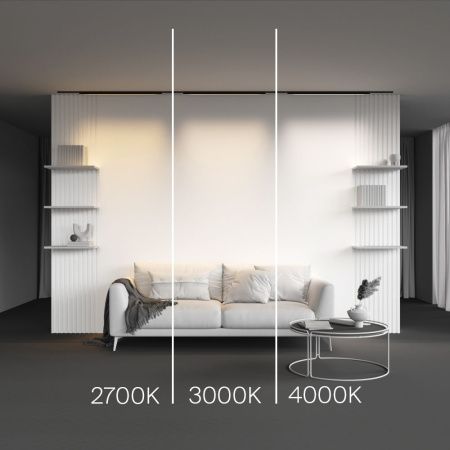 Трековый светодиодный светильник Maytoni Technical Basis (Базис) TR192-1-21W3K-B