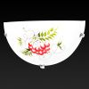 Светильник настенный Toplight Pirolf (Пиролф) TL9350Y-01WH