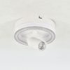 Светильник потолочный Escada 20044led 20044SMA/01LED WH