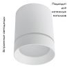 Светильник потолочный Arte Lamp Elle (Елле) A1909PL-1WH
