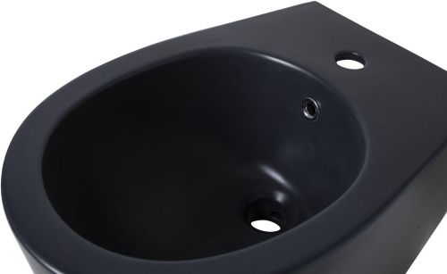 Биде Allen Brau Fantasy 4.11006.31 подвесное - фото 4