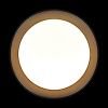 Светильник потолочный Loft It Coin 10202 BB