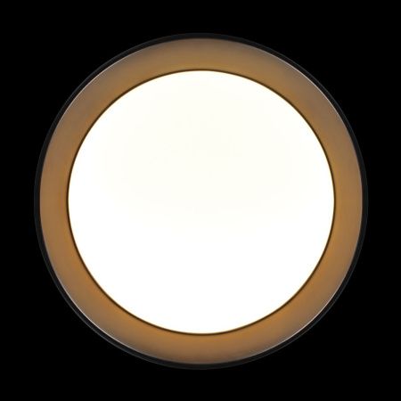 Светильник потолочный Loft It Coin 10202 BB