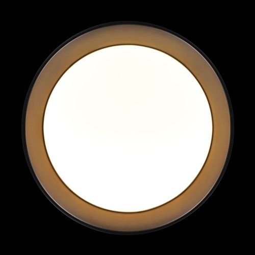 Светильник потолочный Loft It Coin 10202 BB - фото 4