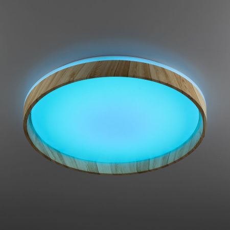 Светильник потолочный музыкальный Citilux Enzo (Ензо) CL753452G