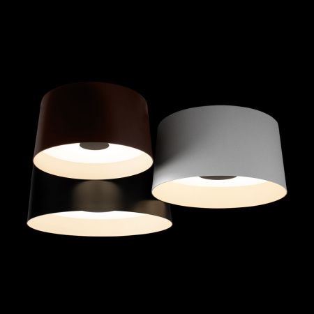 Светильник потолочный Loft It Duo 10360/3