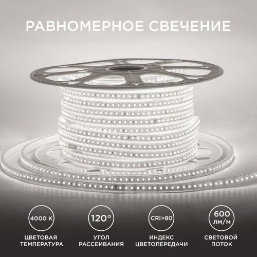Светодиодная лента Apeyron Стандарт 17-40 - фото 3