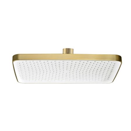 Верхний душ Raglo R451 R451.52.03 золото