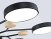Люстра на штанге Ambrella Light LineTech (ЛинеТецх) FL4866