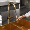 Смеситель для кухни Reflexion Lago RX9904GD на мойку золото