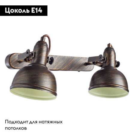 Спот Arte Lamp Martin (Мартин) A5213AP-2BR
