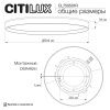 Светильник потолочный музыкальный Citilux Etalon (Еталон) CL750501R