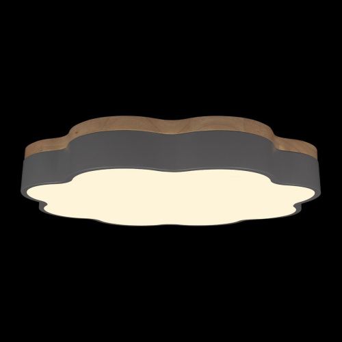 Светильник потолочный Loft It Axel 10225/36 Grey - фото 4