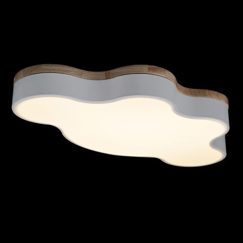 Светильник потолочный Loft It Axel 10005/36 White - фото 4