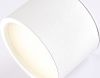 Светильник накладной Ambrella Light IP Protect (ИП Протецт) TN6550