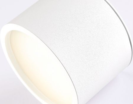 Светильник накладной Ambrella Light IP Protect (ИП Протецт) TN6550
