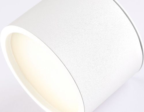 Светильник накладной Ambrella Light IP Protect (ИП Протецт) TN6550 - фото 4