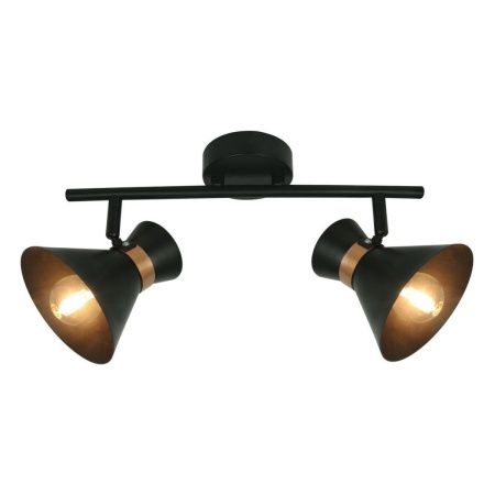 Спот Arte Lamp Baltimore (Балтиморе) A1406AP-2BK