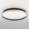 Светильник потолочный музыкальный Citilux Bonny (Бонны) CL754451G
