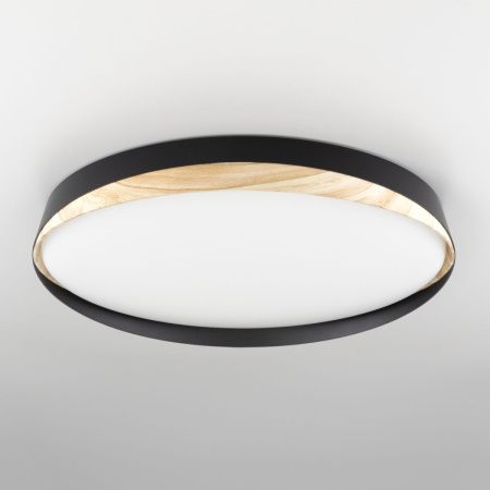 Светильник потолочный музыкальный Citilux Bonny (Бонны) CL754451G