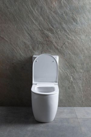 Чаша унитаза напольная Allen Brau Priority 4.31003.20 цвет белый без бачка с сиденьем микролифт безободковая каскадный смыв