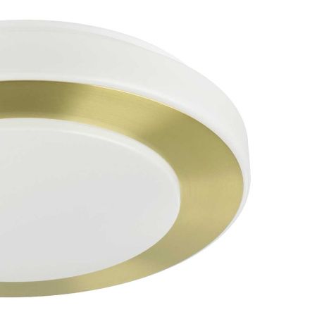 Светильник потолочный Eglo Led Carpi (Лед Царпи) 900369