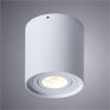 Светильник потолочный Arte Lamp Falcon (Фалцон) A5645PL-1WH