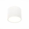 Светильник потолочный ST Luce Rene (Рене) ST113.542.09