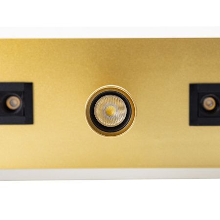 Спот Arte Lamp Pisces (Писцес) A2220PL-3GO