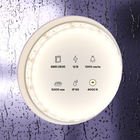 Светодиодная лента Maytoni Led Strip 10112