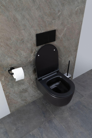 Чаша унитаза подвесная Allen Brau Priority 4.31002.31 цвет черный матовый без сиденья безободковая каскадный смыв