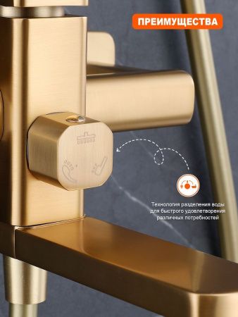 Душевая стойка ProHanss P60.24.03 настенная цвет золото