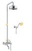 Душевая стойка Fiore 01CO0615 настенная цвет хром/золото