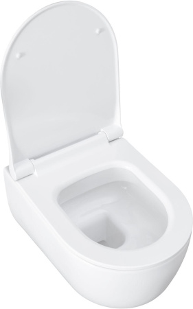 Чаша унитаза подвесная Allen Brau Priority 4.31002.20 цвет белый без сиденья безободковая каскадный смыв