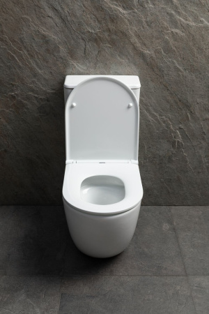 Чаша унитаза подвесная Allen Brau Priority Tornado 4.31006.20 цвет белый без сиденья безободковая душевой смыв