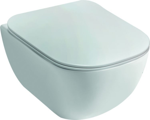 Унитаз Disegno Ceramica Forever FV00500001 подвесной