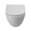 Унитаз подвесной BelBagno AMANDA BB051CH-TOR-FC/BB051SC белый с сиденьем микролифт безободковый смыв торнадо