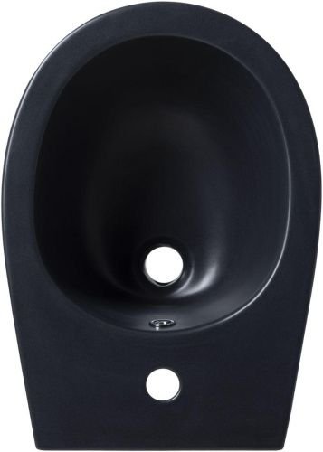 Биде Allen Brau Fantasy 4.11006.31 подвесное - фото 2