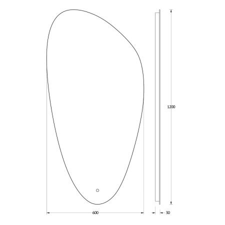 Зеркало с подсветкой Evoform Ledshine BY 2693 60х120 подвесное